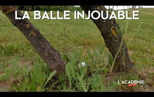 Règle de golf : la balle injouable