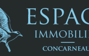 COUPE ESPACE IMMOBILIER - ESPACE AUTO