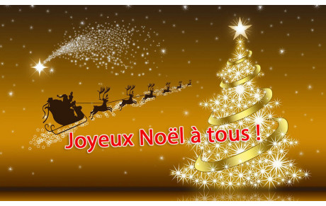 Joyeux Noël et Bonnes fêtes de fin d’année 